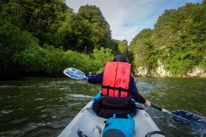 Kayak tour through the mangrove forest of Thalane Bay thumbnail